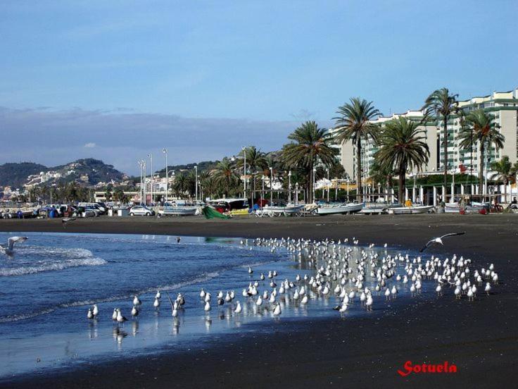 Apartamento El Bambu Cerca Del Mar Malaga Exterior photo